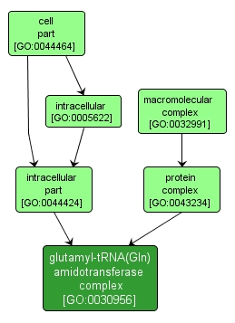 GO:0030956 - glutamyl-tRNA(Gln) amidotransferase complex (interactive image map)