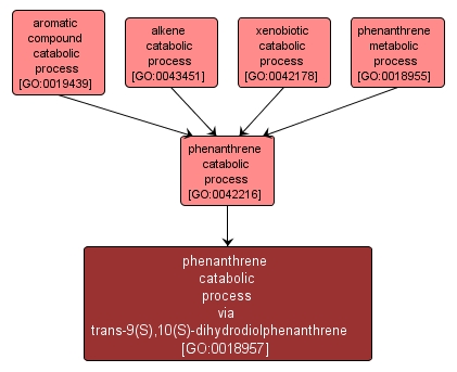 GO:0018957 - phenanthrene catabolic process via trans-9(S),10(S)-dihydrodiolphenanthrene (interactive image map)