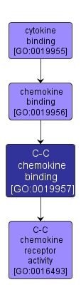GO:0019957 - C-C chemokine binding (interactive image map)