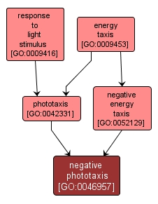 GO:0046957 - negative phototaxis (interactive image map)