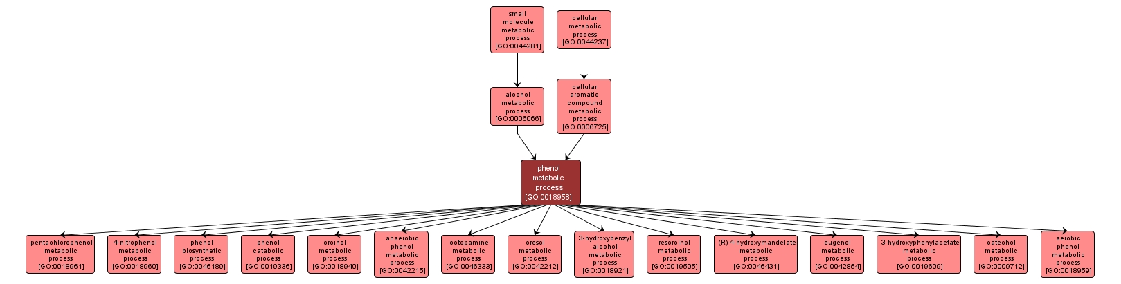 GO:0018958 - phenol metabolic process (interactive image map)