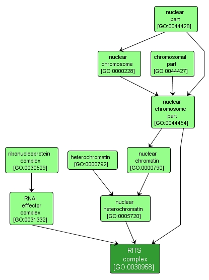 GO:0030958 - RITS complex (interactive image map)