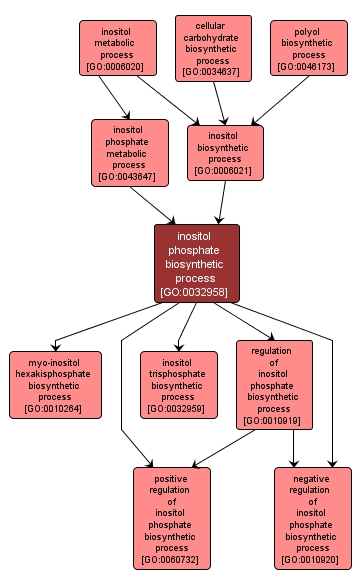 GO:0032958 - inositol phosphate biosynthetic process (interactive image map)