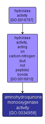 GO:0034958 - aminohydroquinone monooxygenase activity (interactive image map)
