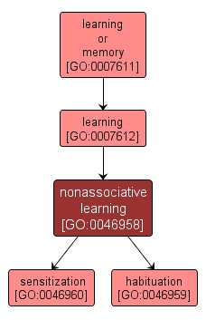 GO:0046958 - nonassociative learning (interactive image map)