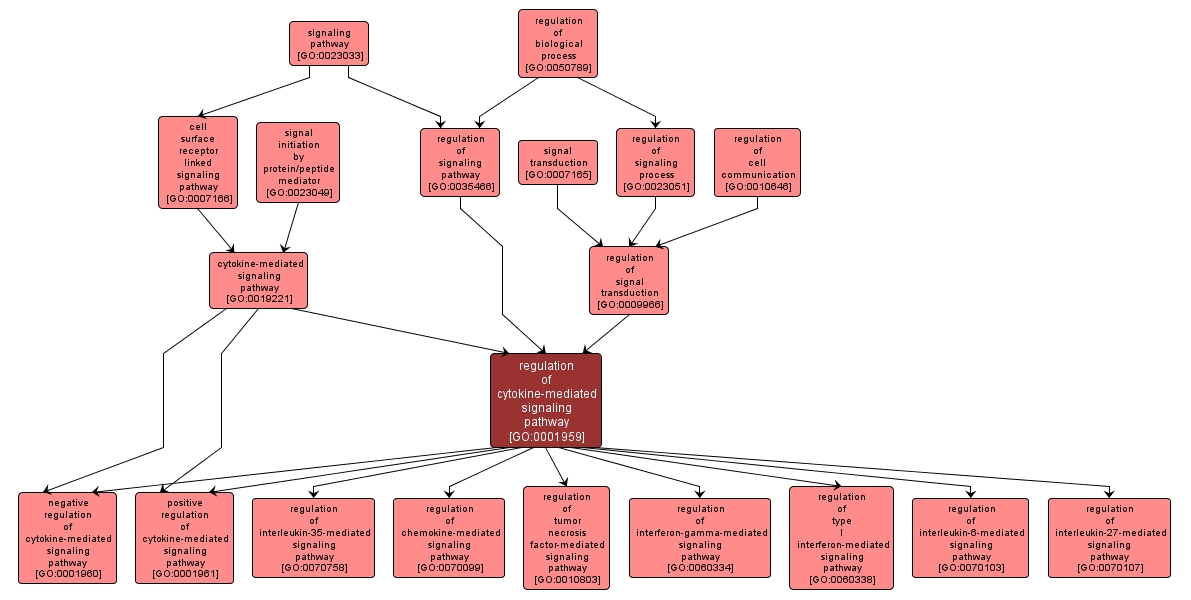 GO:0001959 - regulation of cytokine-mediated signaling pathway (interactive image map)