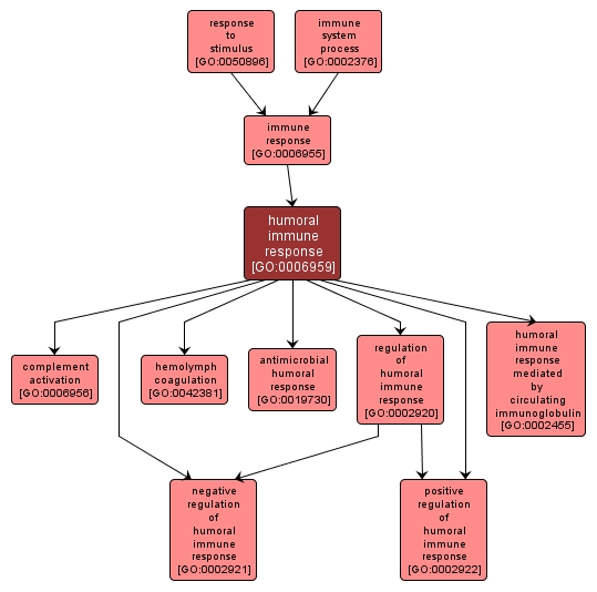 GO:0006959 - humoral immune response (interactive image map)