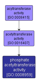 GO:0008959 - phosphate acetyltransferase activity (interactive image map)