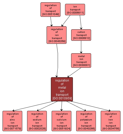 GO:0010959 - regulation of metal ion transport (interactive image map)