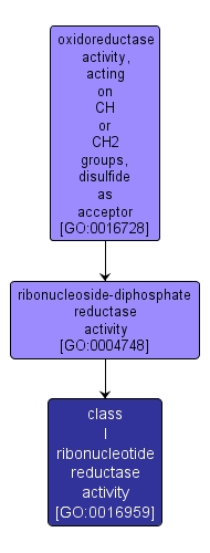 GO:0016959 - class I ribonucleotide reductase activity (interactive image map)
