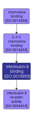 GO:0019959 - interleukin-8 binding (interactive image map)
