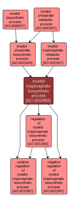 GO:0032959 - inositol trisphosphate biosynthetic process (interactive image map)