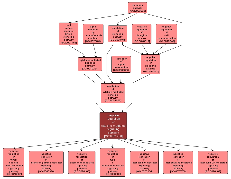 GO:0001960 - negative regulation of cytokine-mediated signaling pathway (interactive image map)