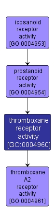 GO:0004960 - thromboxane receptor activity (interactive image map)