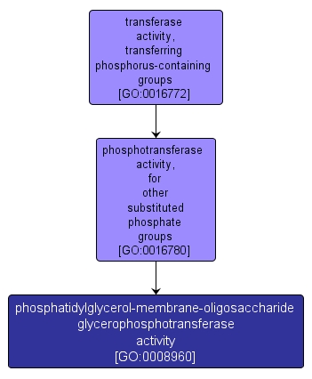 GO:0008960 - phosphatidylglycerol-membrane-oligosaccharide glycerophosphotransferase activity (interactive image map)
