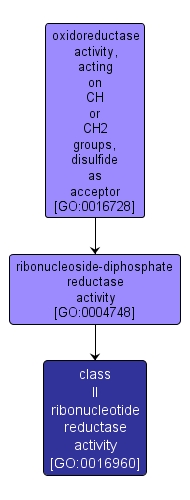 GO:0016960 - class II ribonucleotide reductase activity (interactive image map)