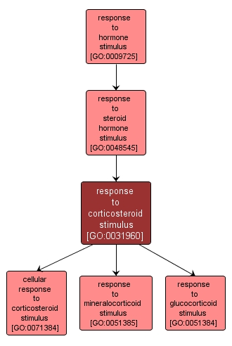 GO:0031960 - response to corticosteroid stimulus (interactive image map)