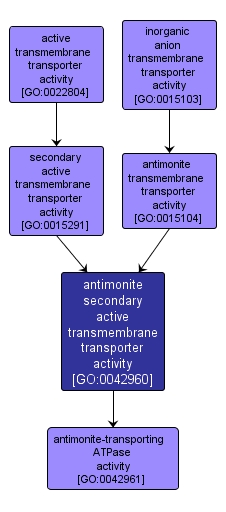 GO:0042960 - antimonite secondary active transmembrane transporter activity (interactive image map)
