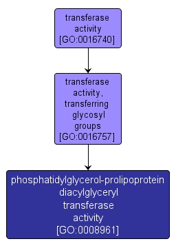 GO:0008961 - phosphatidylglycerol-prolipoprotein diacylglyceryl transferase activity (interactive image map)