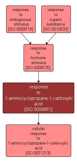 GO:0009961 - response to 1-aminocyclopropane-1-carboxylic acid (interactive image map)