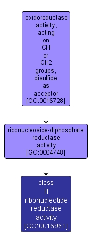 GO:0016961 - class III ribonucleotide reductase activity (interactive image map)