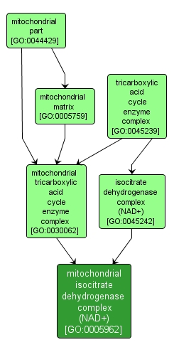 GO:0005962 - mitochondrial isocitrate dehydrogenase complex (NAD+) (interactive image map)