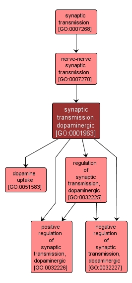 GO:0001963 - synaptic transmission, dopaminergic (interactive image map)