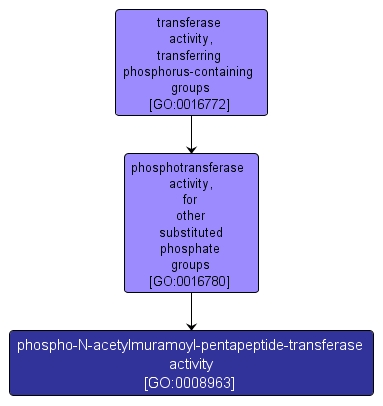 GO:0008963 - phospho-N-acetylmuramoyl-pentapeptide-transferase activity (interactive image map)