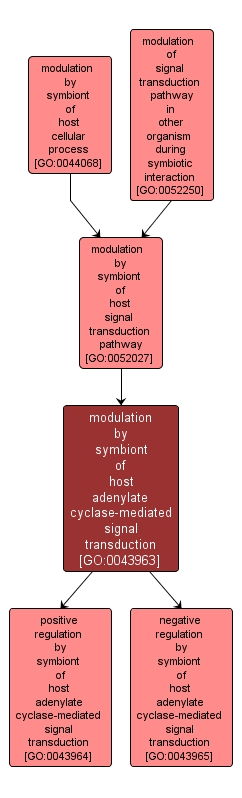 GO:0043963 - modulation by symbiont of host adenylate cyclase-mediated signal transduction (interactive image map)