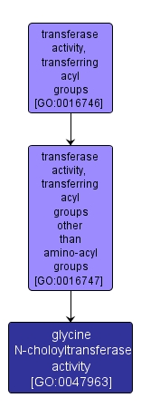 GO:0047963 - glycine N-choloyltransferase activity (interactive image map)