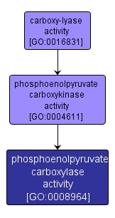 GO:0008964 - phosphoenolpyruvate carboxylase activity (interactive image map)
