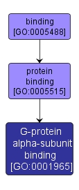 GO:0001965 - G-protein alpha-subunit binding (interactive image map)