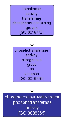 GO:0008965 - phosphoenolpyruvate-protein phosphotransferase activity (interactive image map)