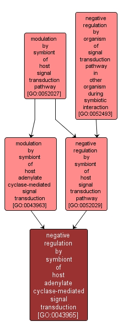 GO:0043965 - negative regulation by symbiont of host adenylate cyclase-mediated signal transduction (interactive image map)