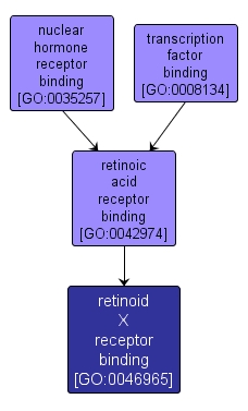 GO:0046965 - retinoid X receptor binding (interactive image map)