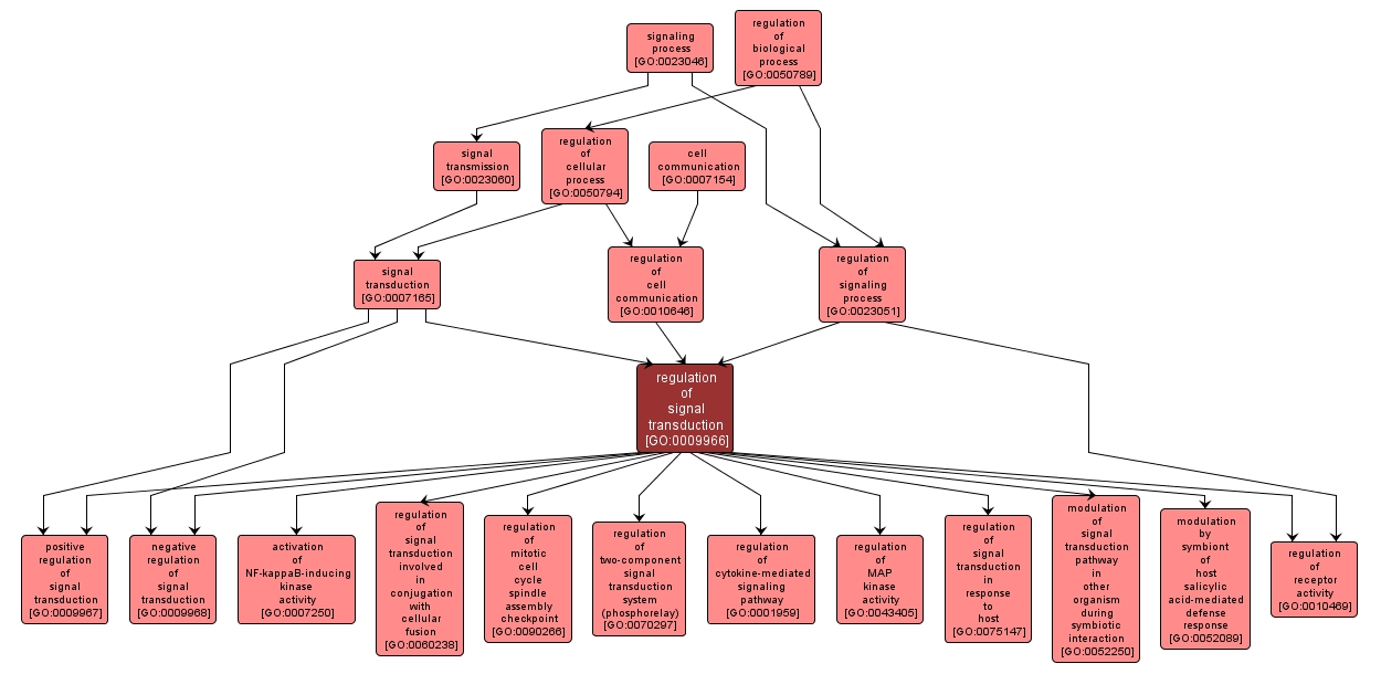 GO:0009966 - regulation of signal transduction (interactive image map)