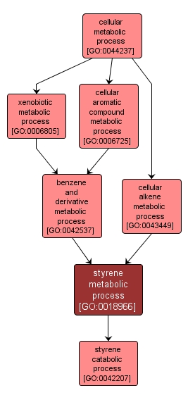 GO:0018966 - styrene metabolic process (interactive image map)