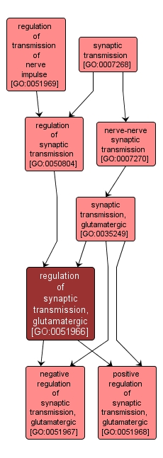 GO:0051966 - regulation of synaptic transmission, glutamatergic (interactive image map)