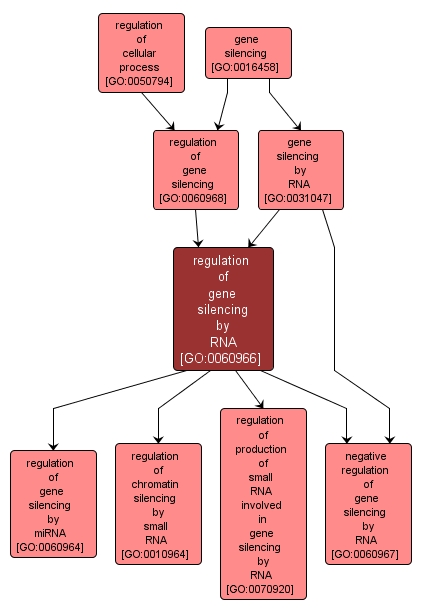 GO:0060966 - regulation of gene silencing by RNA (interactive image map)