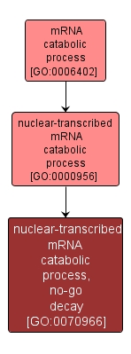 GO:0070966 - nuclear-transcribed mRNA catabolic process, no-go decay (interactive image map)