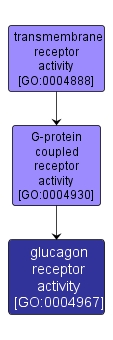 GO:0004967 - glucagon receptor activity (interactive image map)