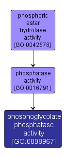 GO:0008967 - phosphoglycolate phosphatase activity (interactive image map)