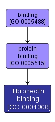 GO:0001968 - fibronectin binding (interactive image map)
