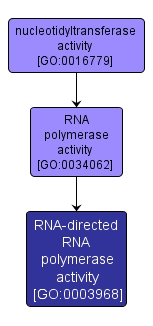 GO:0003968 - RNA-directed RNA polymerase activity (interactive image map)
