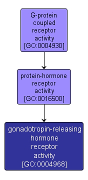GO:0004968 - gonadotropin-releasing hormone receptor activity (interactive image map)