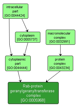 GO:0005968 - Rab-protein geranylgeranyltransferase complex (interactive image map)