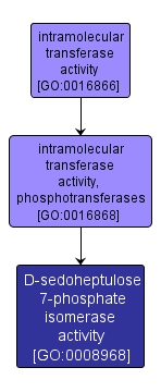 GO:0008968 - D-sedoheptulose 7-phosphate isomerase activity (interactive image map)