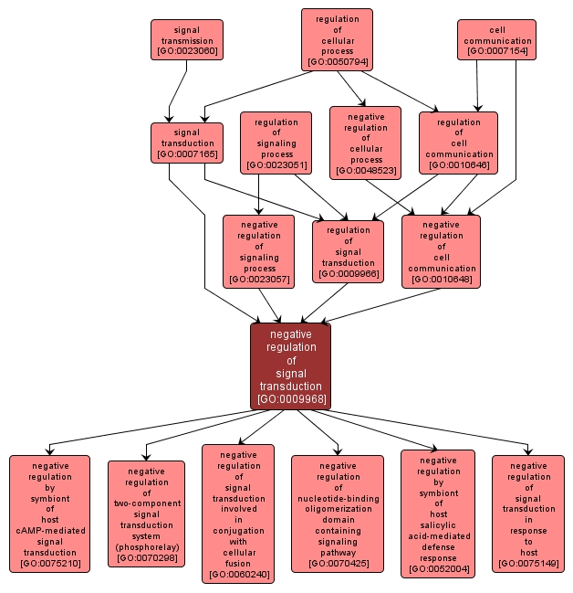 GO:0009968 - negative regulation of signal transduction (interactive image map)