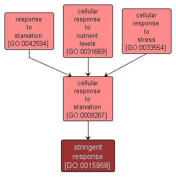 GO:0015968 - stringent response (interactive image map)