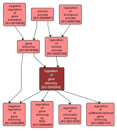 GO:0060968 - regulation of gene silencing (interactive image map)